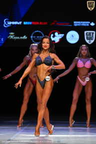 Кубок Вологодской области по бодибилдингу - 2026