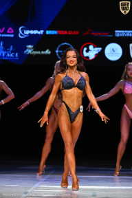 Кубок Вологодской области по бодибилдингу - 2026