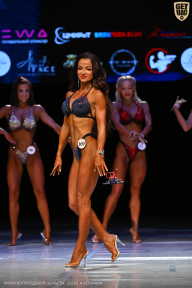 Кубок Вологодской области по бодибилдингу - 2026