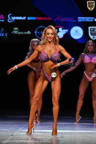 Кубок Вологодской области по бодибилдингу - 2026