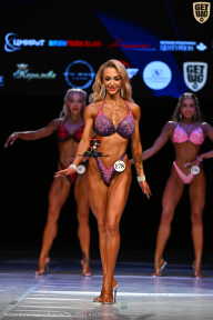 Кубок Вологодской области по бодибилдингу - 2026