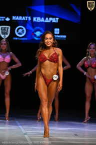 Кубок Вологодской области по бодибилдингу - 2026