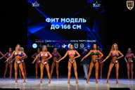 Кубок Вологодской области по бодибилдингу - 2026