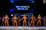 Кубок Вологодской области по бодибилдингу - 2026