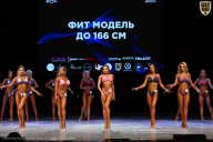 Кубок Вологодской области по бодибилдингу - 2026