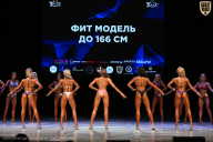 Кубок Вологодской области по бодибилдингу - 2026