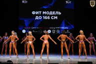 Кубок Вологодской области по бодибилдингу - 2026