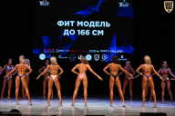 Кубок Вологодской области по бодибилдингу - 2026