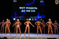 Кубок Вологодской области по бодибилдингу - 2026