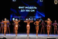 Кубок Вологодской области по бодибилдингу - 2026