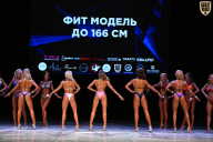 Кубок Вологодской области по бодибилдингу - 2026