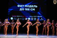 Кубок Вологодской области по бодибилдингу - 2026