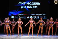 Кубок Вологодской области по бодибилдингу - 2026