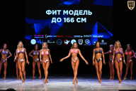 Кубок Вологодской области по бодибилдингу - 2026