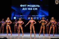 Кубок Вологодской области по бодибилдингу - 2026