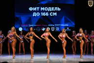 Кубок Вологодской области по бодибилдингу - 2026