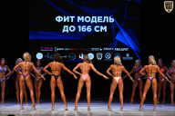 Кубок Вологодской области по бодибилдингу - 2026