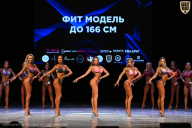 Кубок Вологодской области по бодибилдингу - 2026