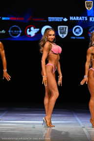 Кубок Вологодской области по бодибилдингу - 2026