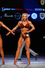 Кубок Вологодской области по бодибилдингу - 2026