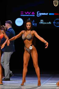 Кубок Вологодской области по бодибилдингу - 2026