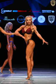 Кубок Вологодской области по бодибилдингу - 2026