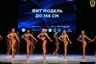 Кубок Вологодской области по бодибилдингу - 2026