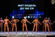 Кубок Вологодской области по бодибилдингу - 2026