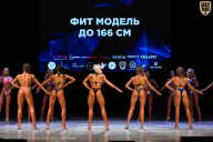 Кубок Вологодской области по бодибилдингу - 2026