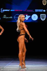 Кубок Вологодской области по бодибилдингу - 2026