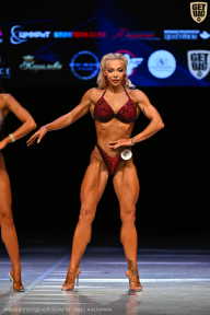 Кубок Вологодской области по бодибилдингу - 2026