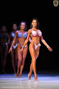 Кубок Вологодской области по бодибилдингу - 2026