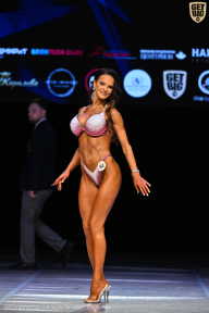 Кубок Вологодской области по бодибилдингу - 2026