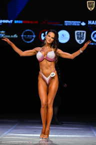 Кубок Вологодской области по бодибилдингу - 2026