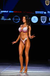 Кубок Вологодской области по бодибилдингу - 2026