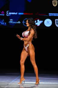 Кубок Вологодской области по бодибилдингу - 2026