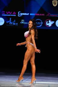 Кубок Вологодской области по бодибилдингу - 2026