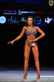 Кубок Вологодской области по бодибилдингу - 2026