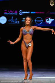 Кубок Вологодской области по бодибилдингу - 2026