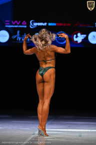 Кубок Вологодской области по бодибилдингу - 2026