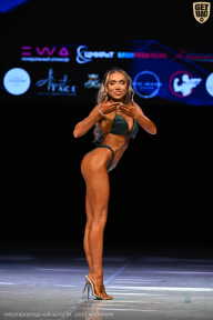 Кубок Вологодской области по бодибилдингу - 2026