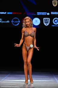 Кубок Вологодской области по бодибилдингу - 2026