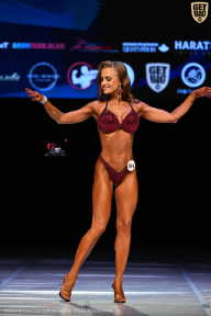 Кубок Вологодской области по бодибилдингу - 2026