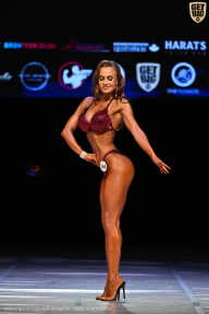 Кубок Вологодской области по бодибилдингу - 2026