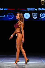 Кубок Вологодской области по бодибилдингу - 2026