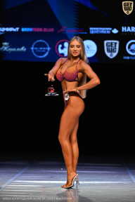 Кубок Вологодской области по бодибилдингу - 2026