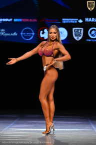 Кубок Вологодской области по бодибилдингу - 2026