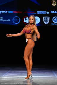 Кубок Вологодской области по бодибилдингу - 2026