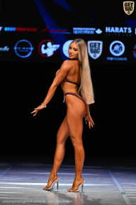 Кубок Вологодской области по бодибилдингу - 2026