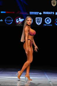 Кубок Вологодской области по бодибилдингу - 2026